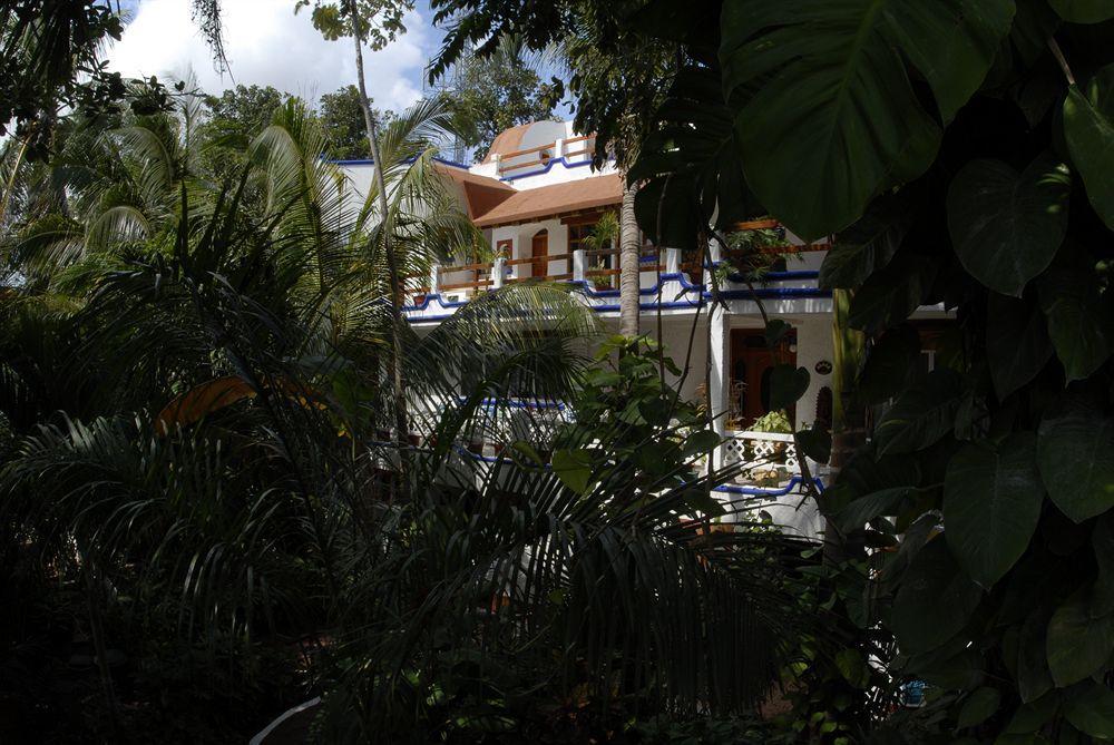 Eco-Hotel El Rey Del Caribe Cancún Zewnętrze zdjęcie